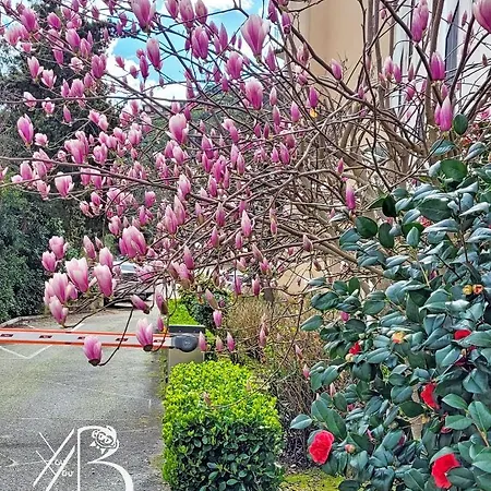 De Youyoube2 ポルティシオ