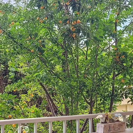 De Youyoube2 Διαμέρισμα Porticcio (Corsica)