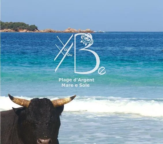 De Youyoube2 Lägenhet Porticcio (Corsica)