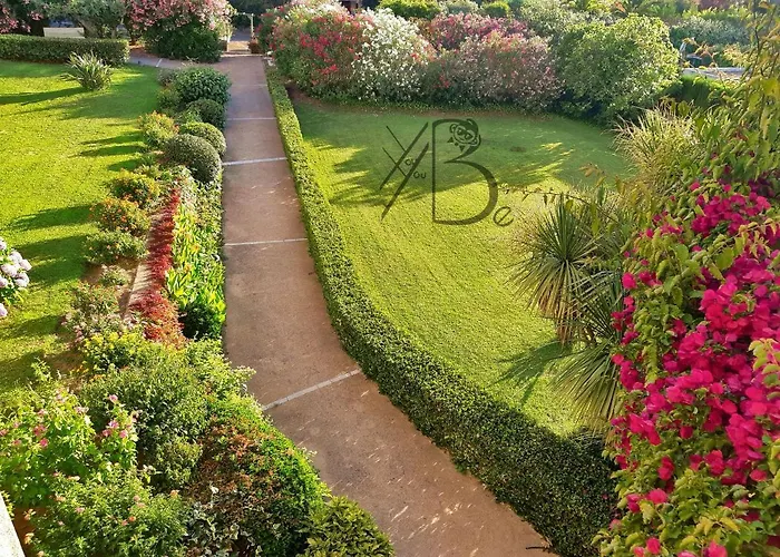 De Youyoube2 Daire *