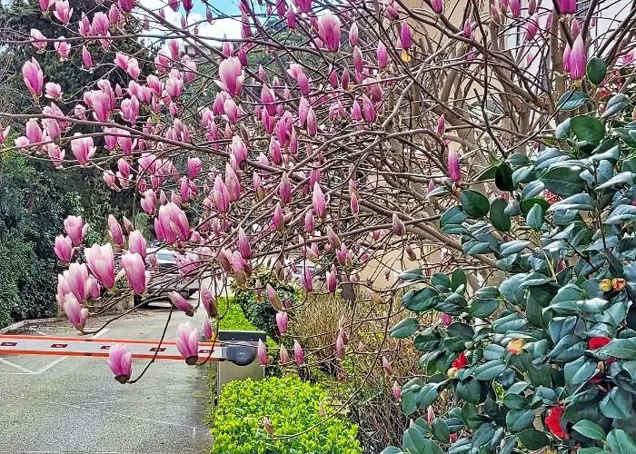 De Youyoube2 Porticcio (Corsica)